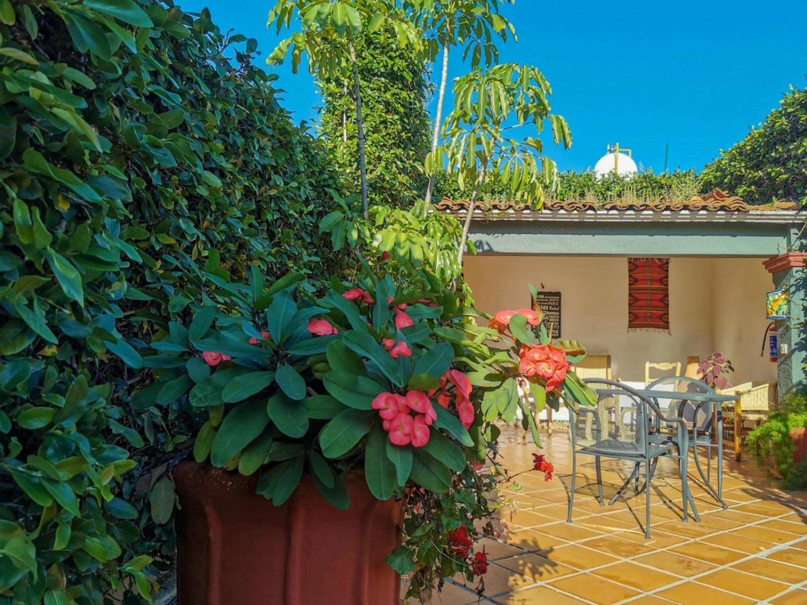 Hotel Casa Guiva Oaxaca Ngoại thất bức ảnh